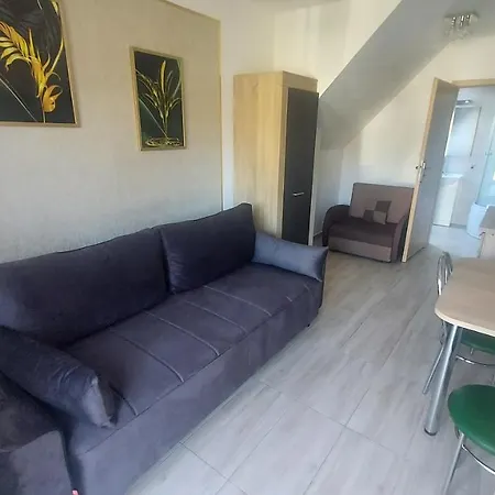 Pokoje Goscinne Silver Rogowo  Exterior foto